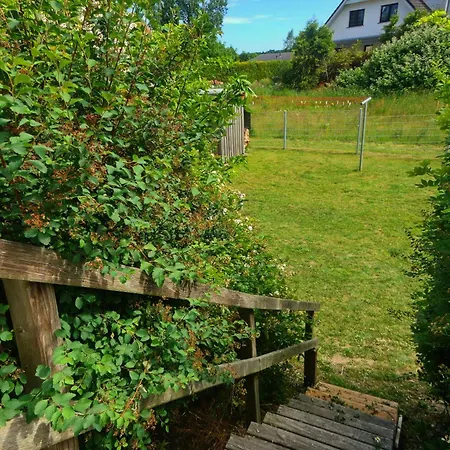 Prázdninový dům Neu! Ferienhaeuser - Heringsdorf (Usedom)